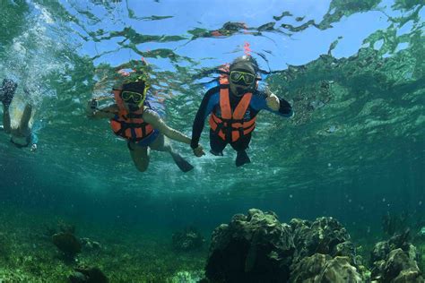 Snorkeling in Paradise: Discover Riviera Maya's Hidden Cenotes